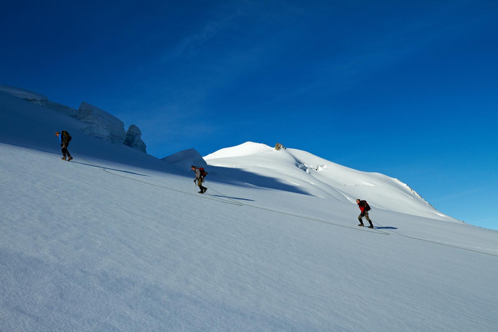 Hotel Alpenhof - Steingletscher  -