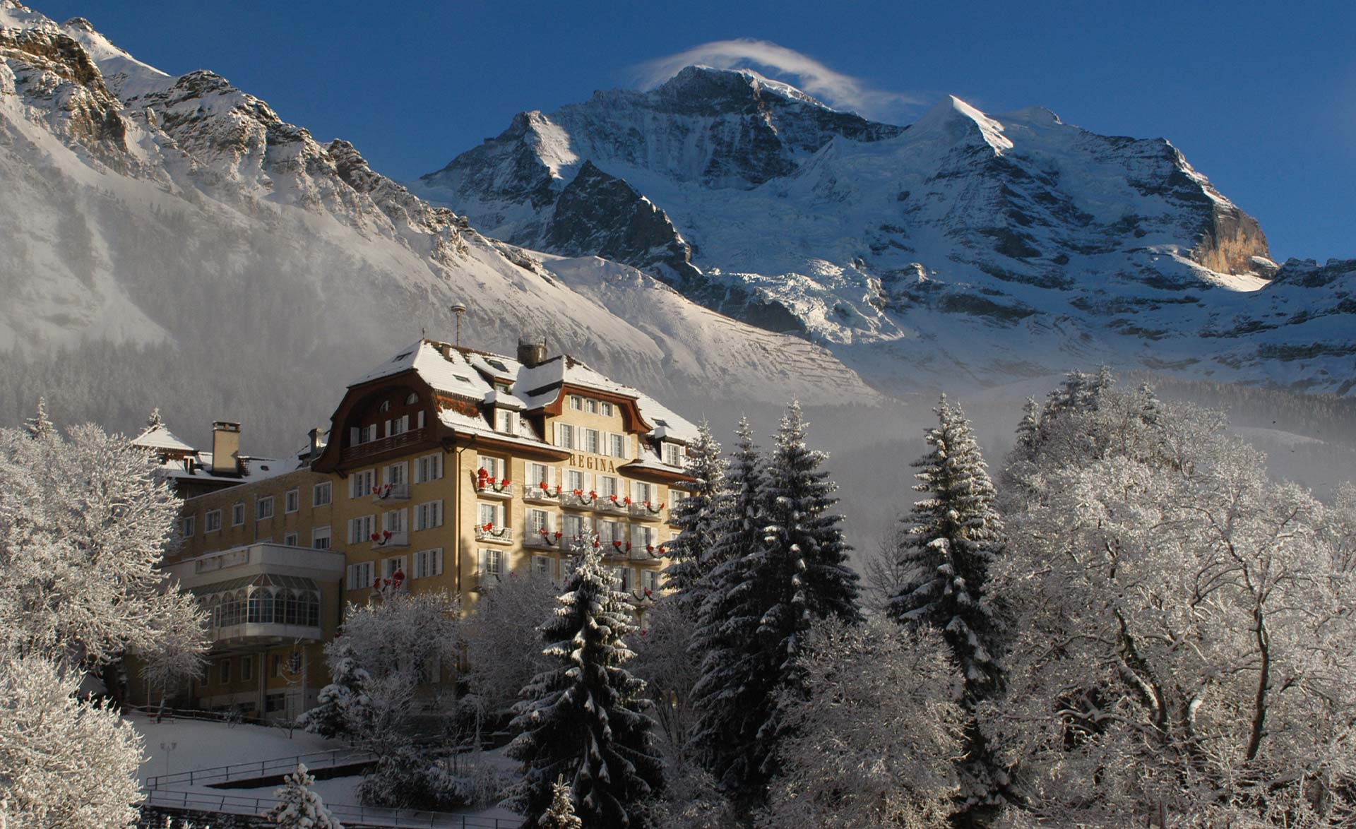 Hotel Alpenhof - Wengen -