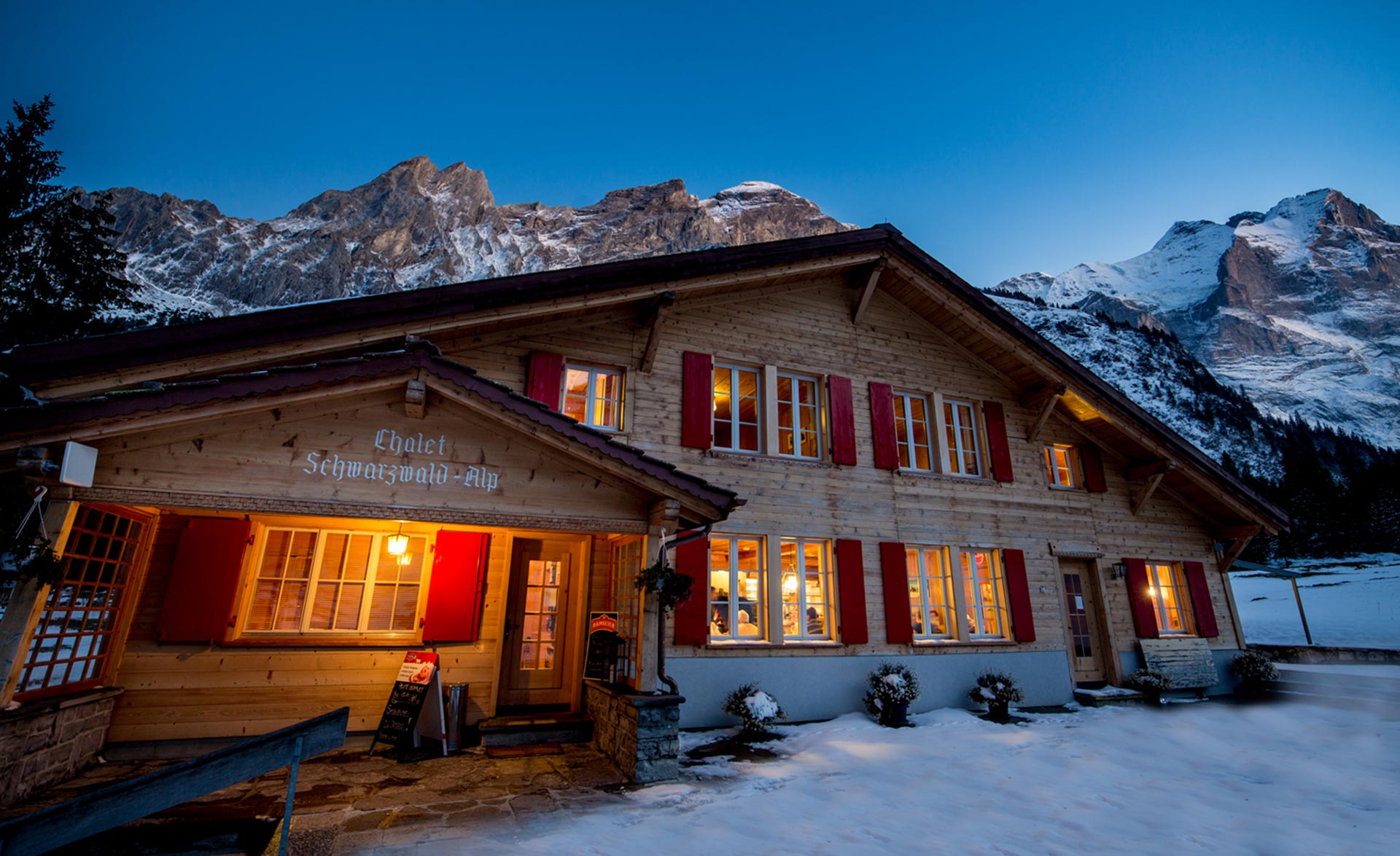 Hotel Alpenhof - Meiringen -