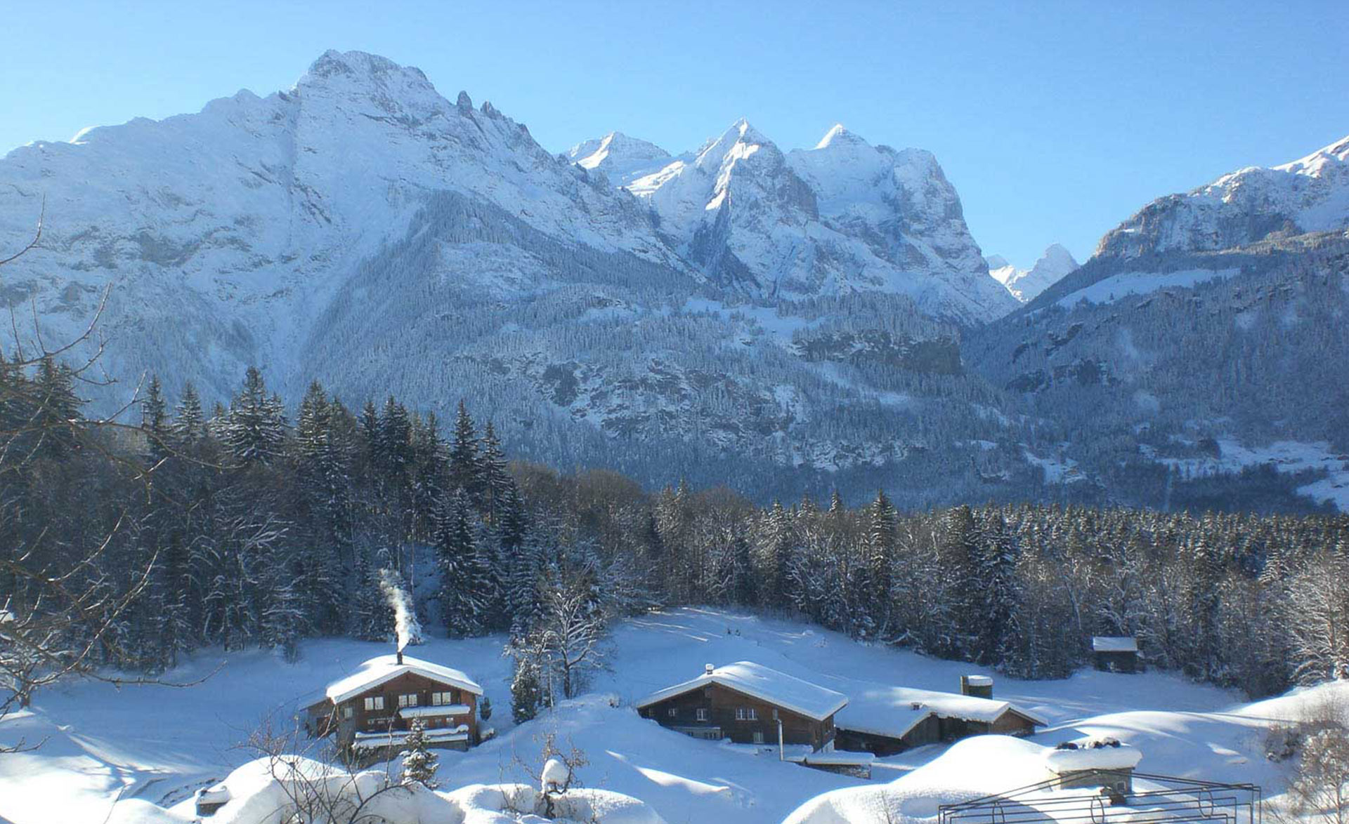 Hotel Alpenhof - Hasliberg -